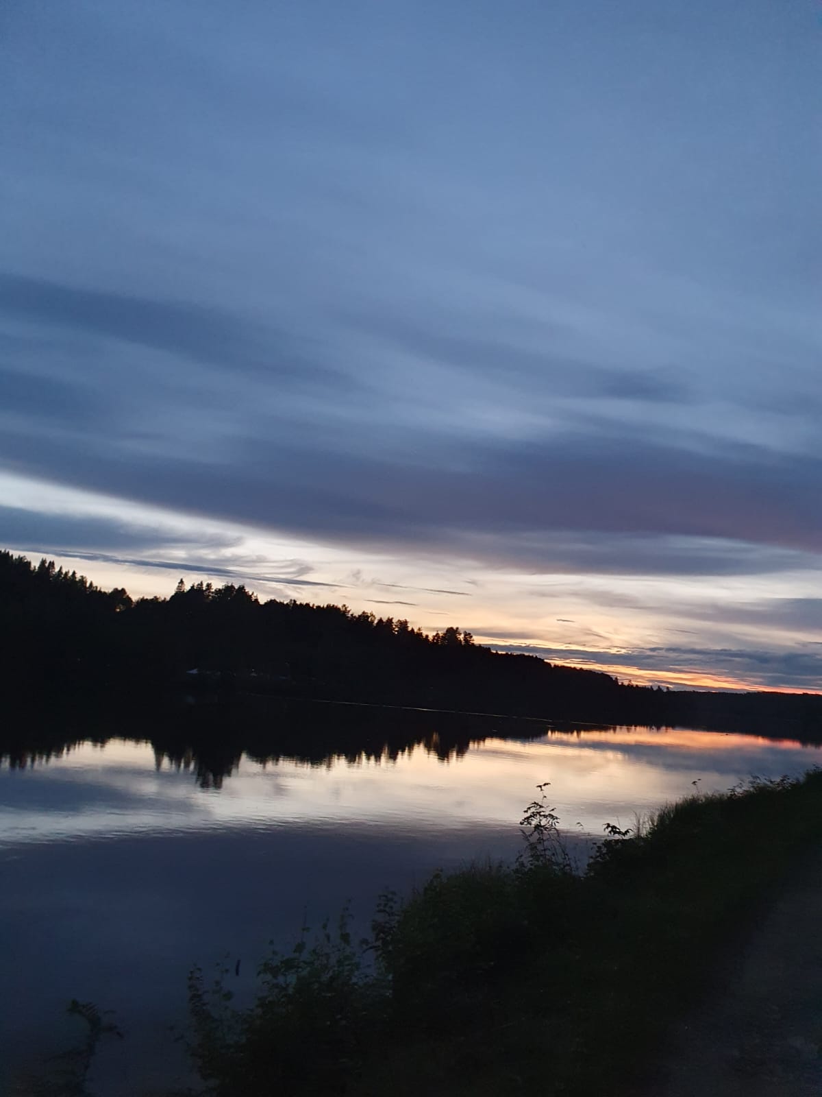 vy mot forsås