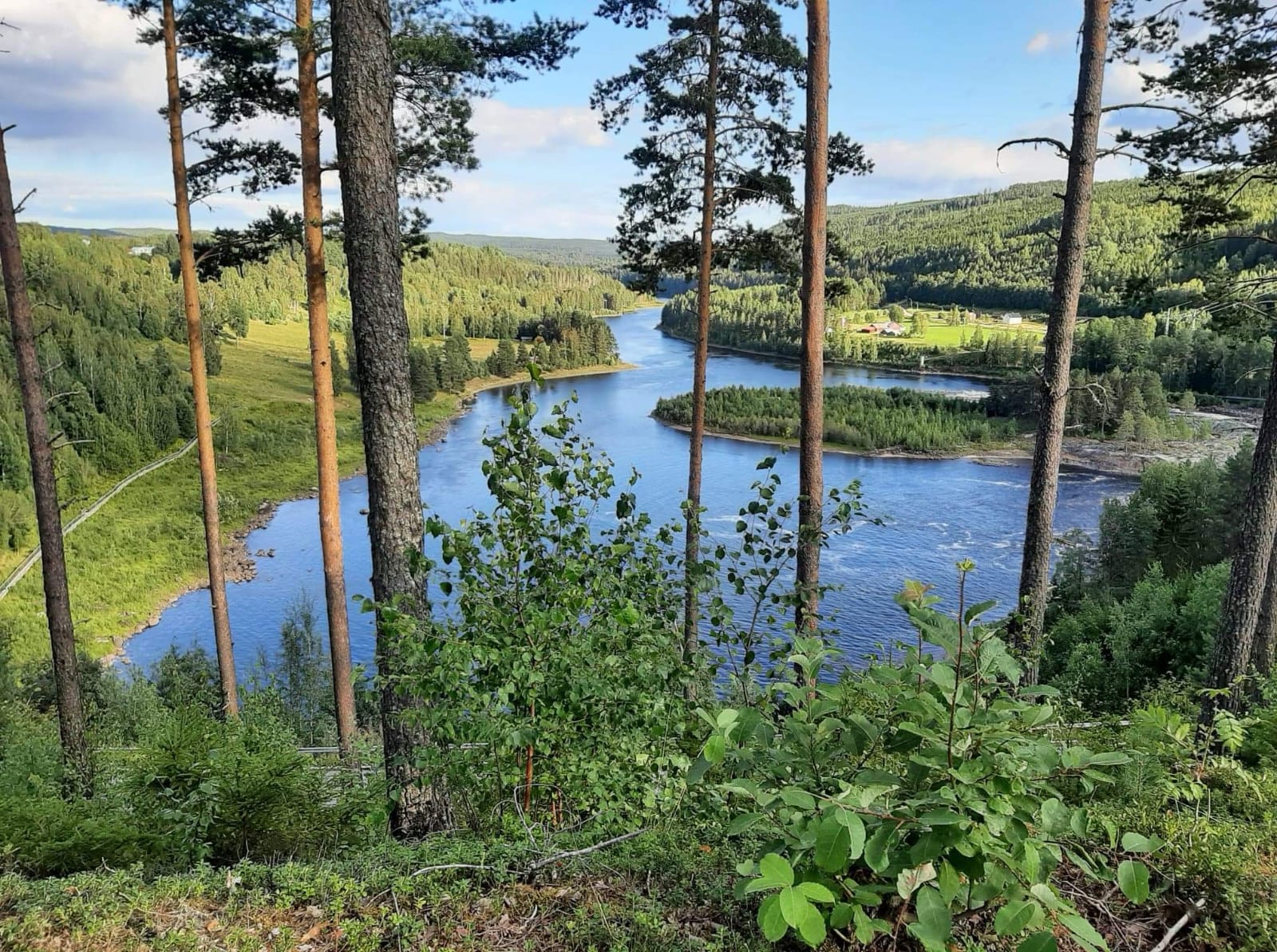 Vy från fest området